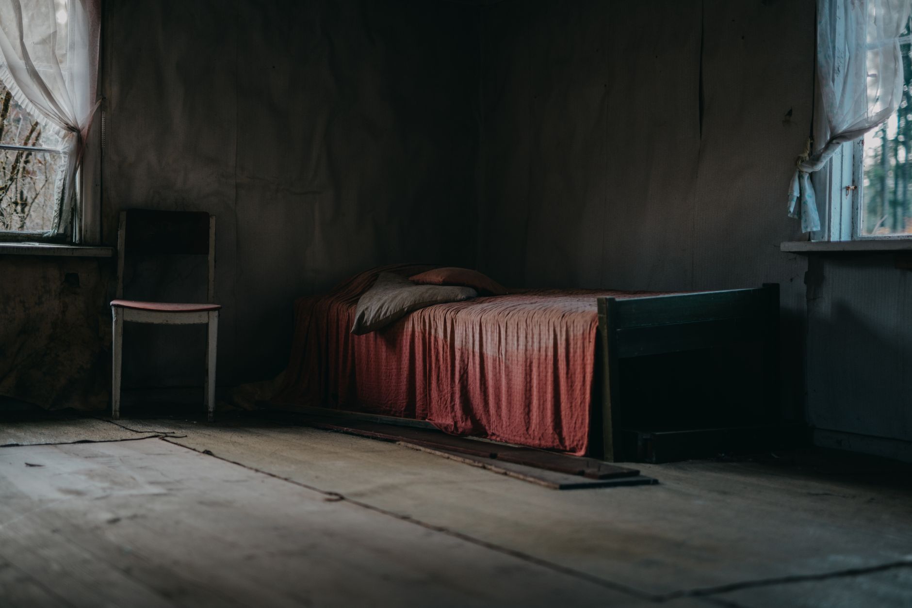 Traitement Punaises de Lit à Rillieux-la-Pape